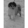 Frosty09.jpg