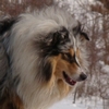 Otroci46.jpg