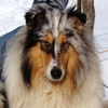 Otroci46.jpg