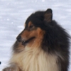 Otroci46.jpg