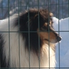 Otroci46.jpg