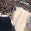 Otroci46.jpg