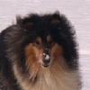 Otroci46.jpg