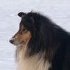 Otroci46.jpg