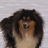 Otroci46.jpg