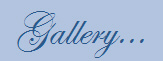Gallery...