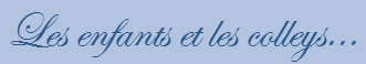 Les enfants et les colleys...